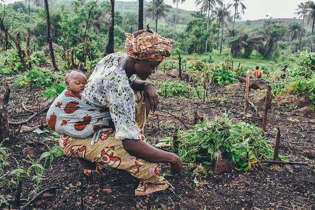 Des femmes actives pour l'environnement