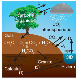 Comprendre la composition carbone