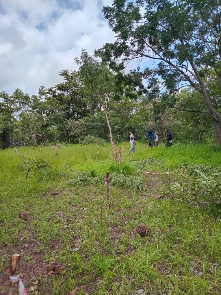 Activité de terrain Guinée