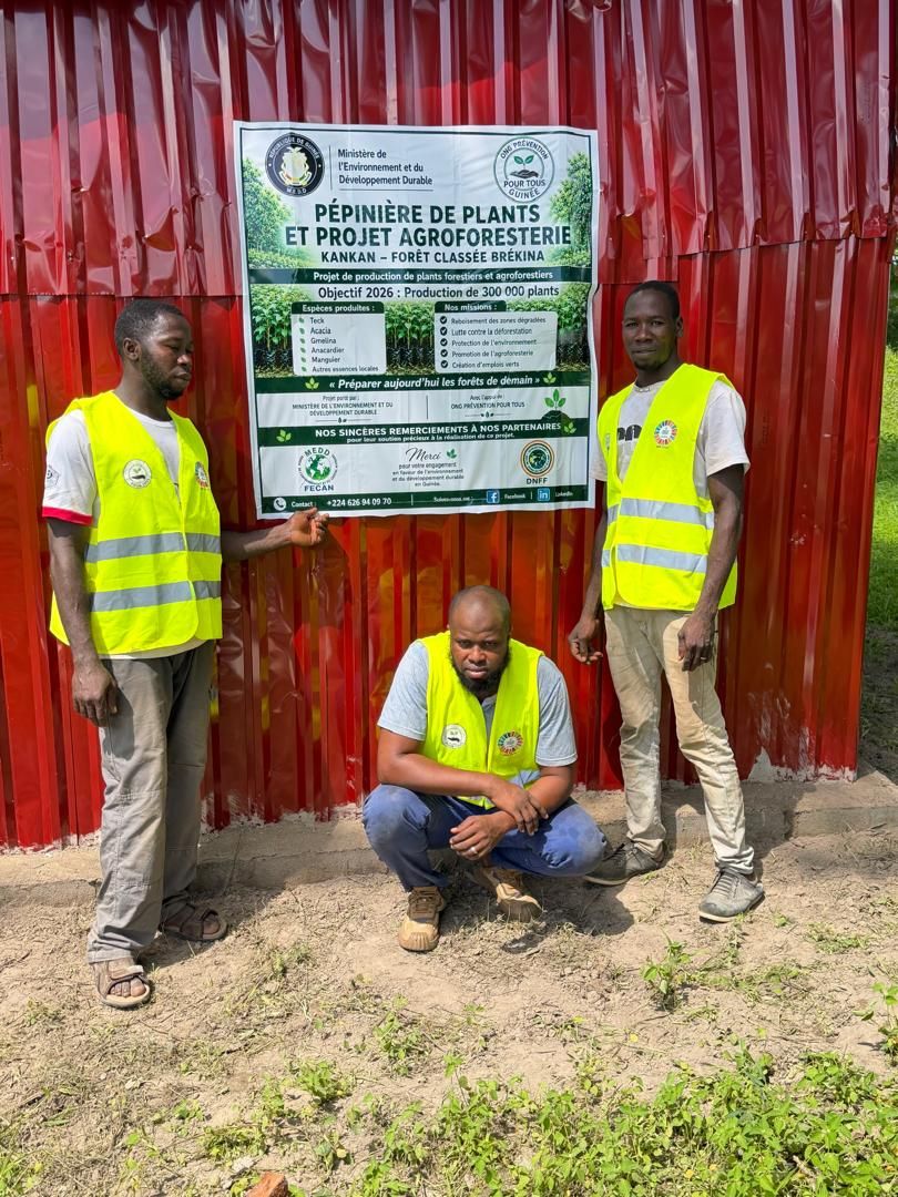 Pépinière de plants et projet agroforesterie à Kankan