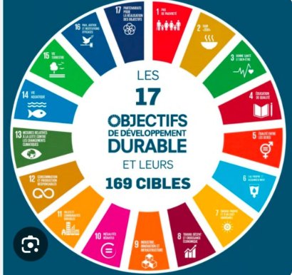 Les 17 ODD des Nations Unies