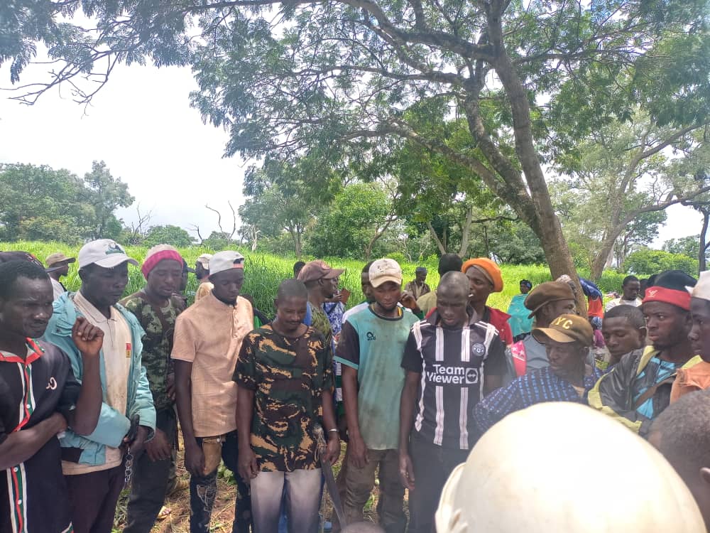 Photo du projet — 30 hectares reboisees de plants melina